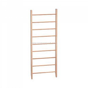 ���� ����� ����