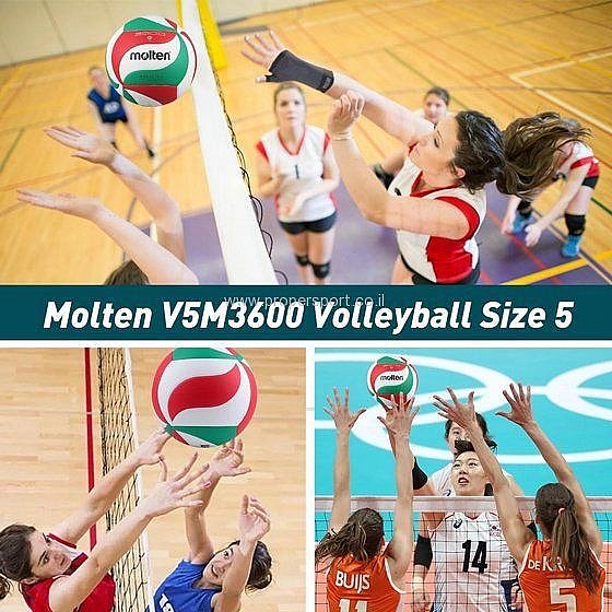 ������ ������ ������ ����� MOLTEN V5M3600