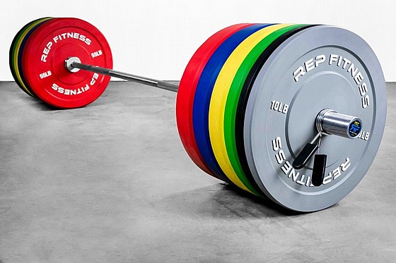 ������ ���� ����� �������
