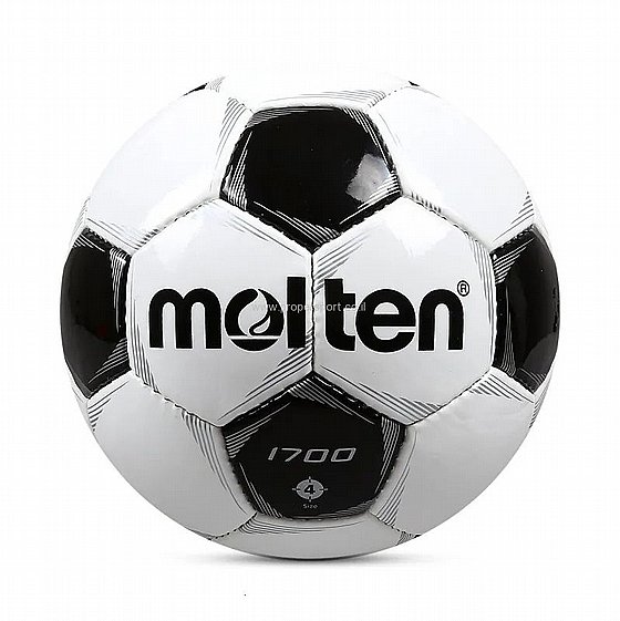 ������ ����� MOLTEN F4P1700 � ���� 4
