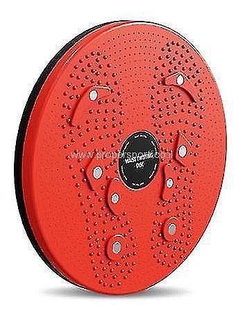 ���� ������� ������� TWIST BOARD