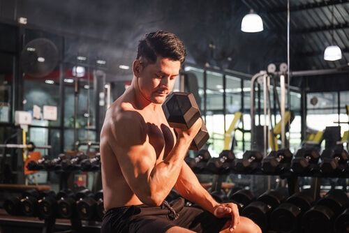 מתאמן נעזר במשקולות דאמבל בעת אימון בחדר כושר