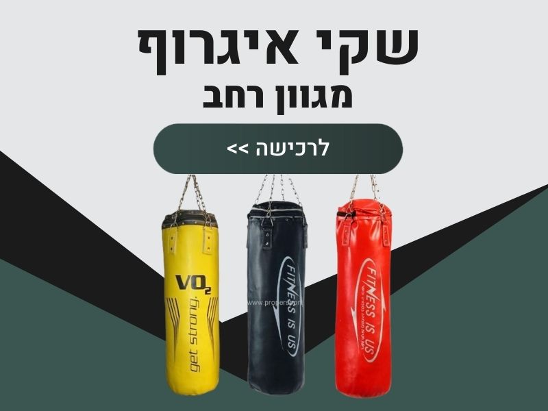 שקי אגרוף