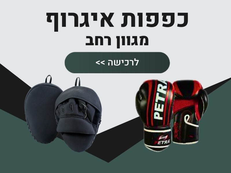 כפפות לשק איגרוף